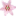 网上订花送花，网上送花，网上订购蛋糕，网上订花   - 中国花网(Song-hua.cn)