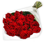 20 Luxury Red Roses